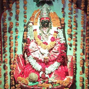 रौप्यमहोत्सव : श्रीकालिकादेवी मंदिराच्या विकासासाठी कटिबद्ध : माजी नगराध्यक्ष विनोद बोराडे 