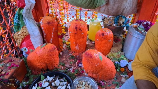 Nagpanchami : विठोजी बिरोजींच्या दर्शनाला गर्दी
