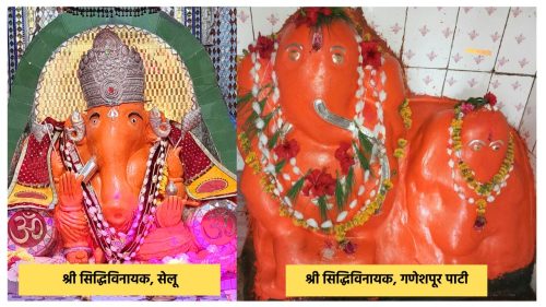 गावोगावी गणेशोत्सवाचा उत्साह; सामाजिक, सांस्कृतिक कार्यक्रमांवर भर 